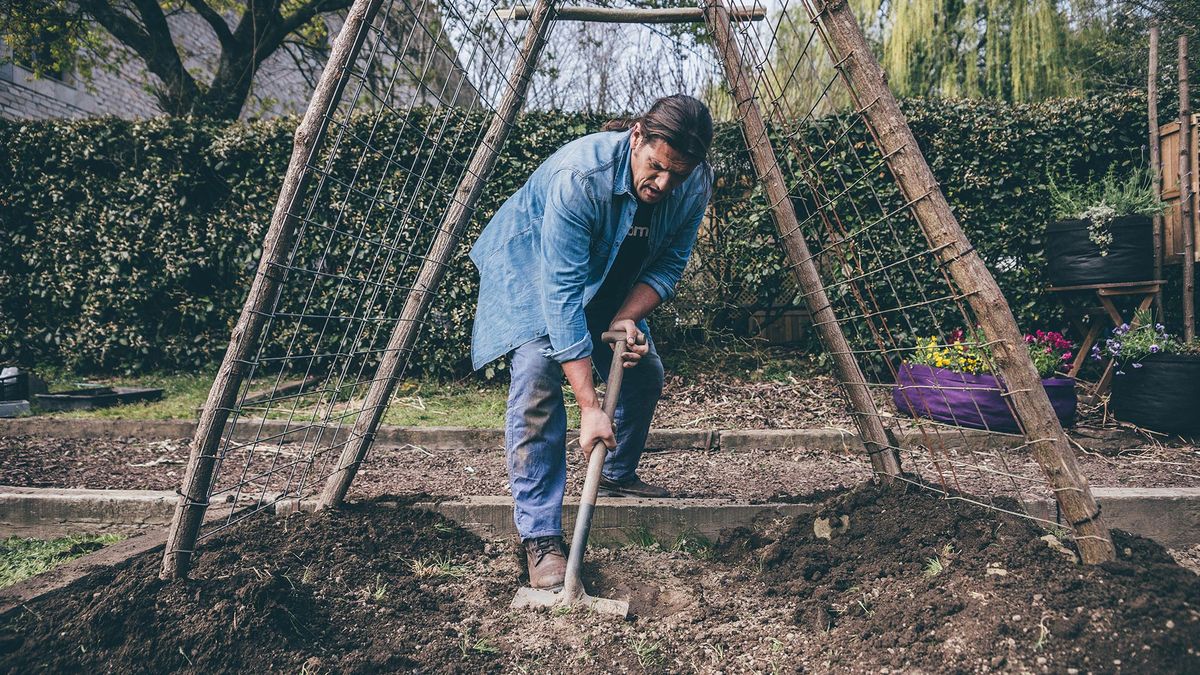 993 jardineria fijar estructura pepinos