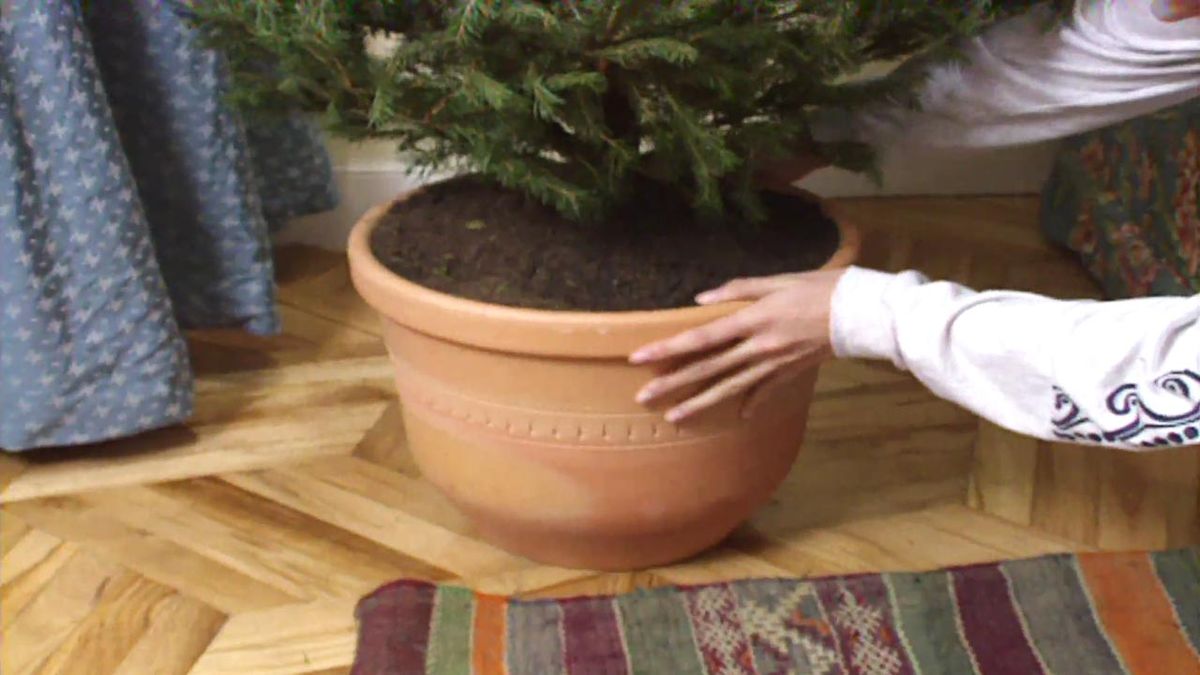 brico 017 arbol de navidad lugar bien iluminado