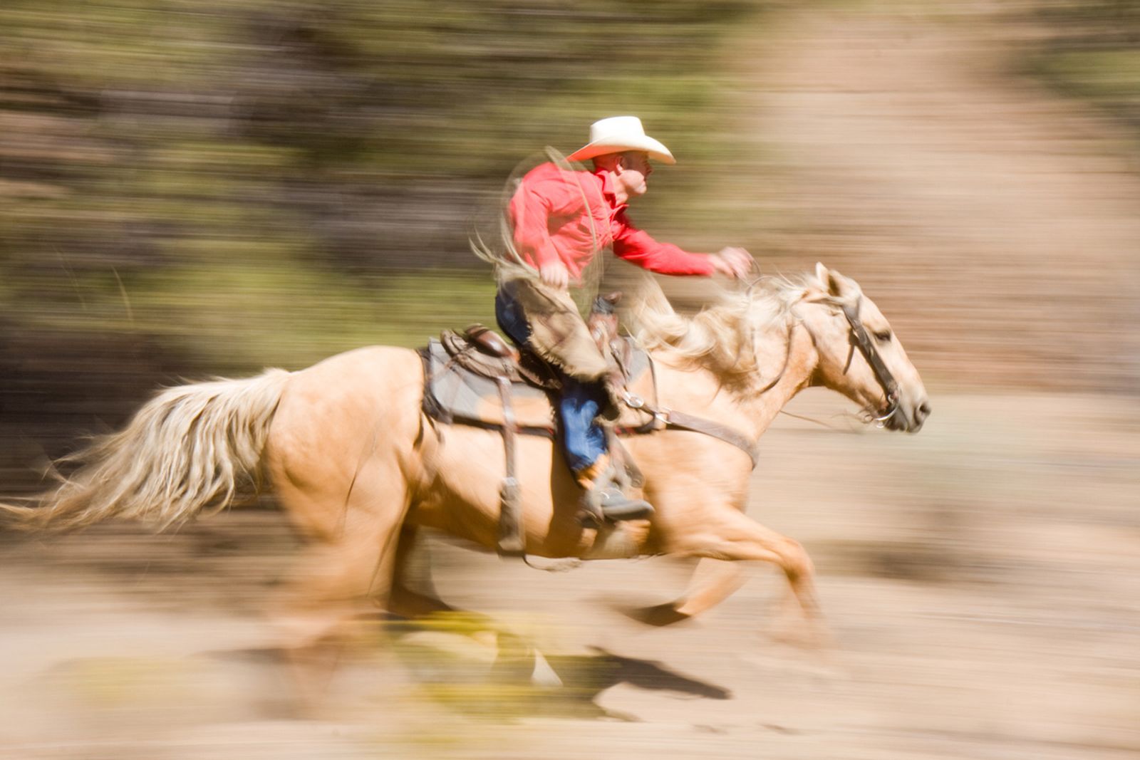 mascoteros 005 adiestramiento caballos cine