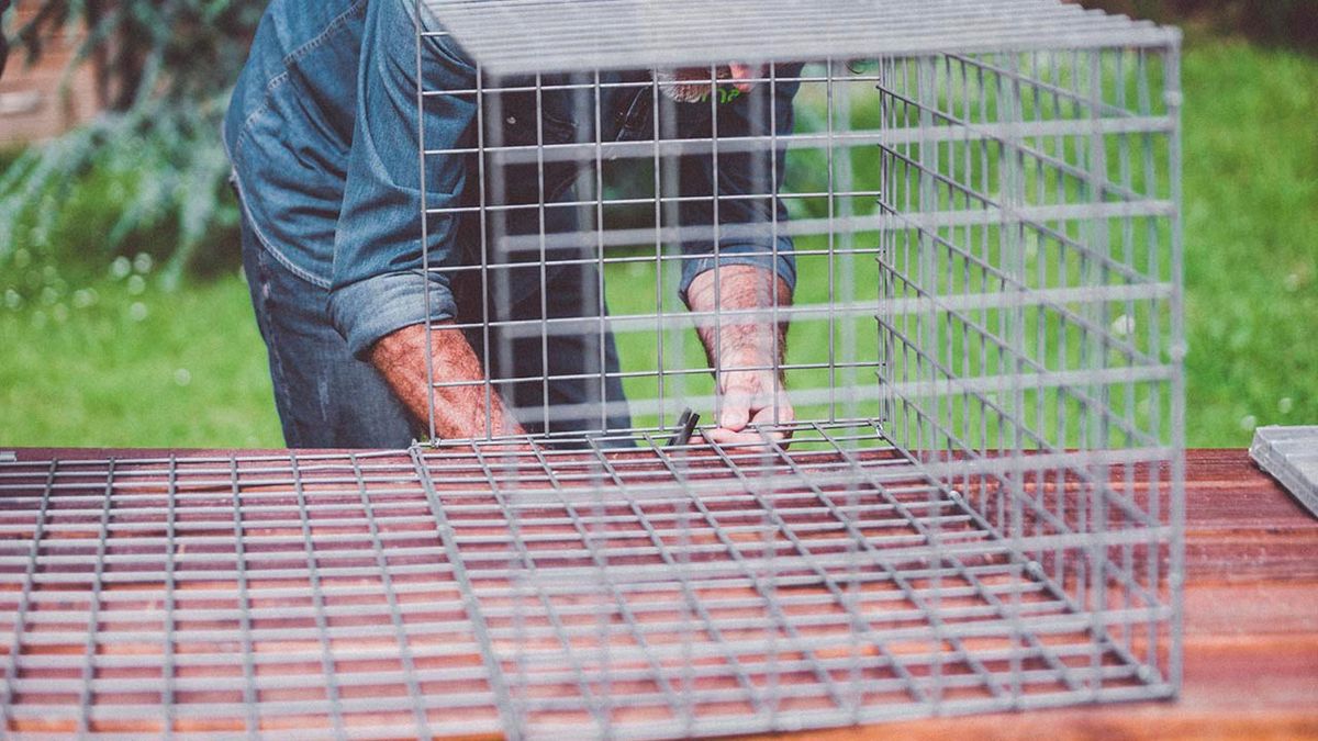 Cómo hacer una barbacoa con gaviones paso 1