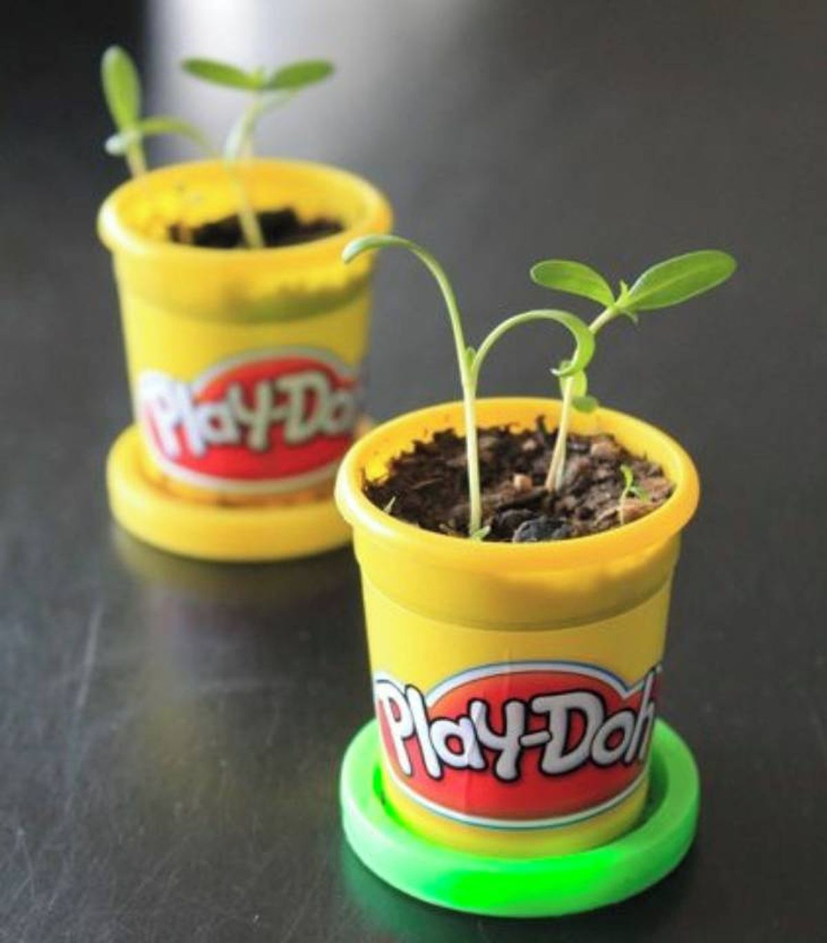 plantar semillas botes play doh facebook play doh espana