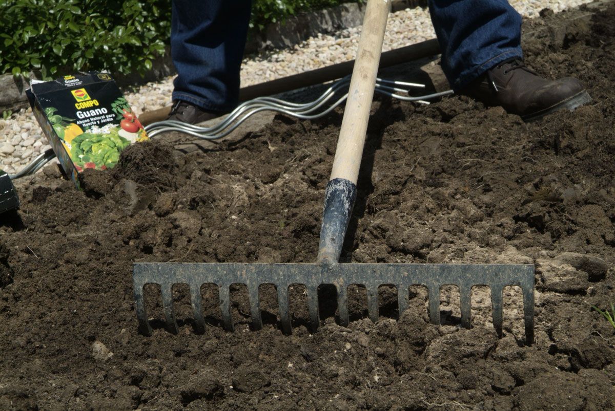 El huerto ornamental paso 2