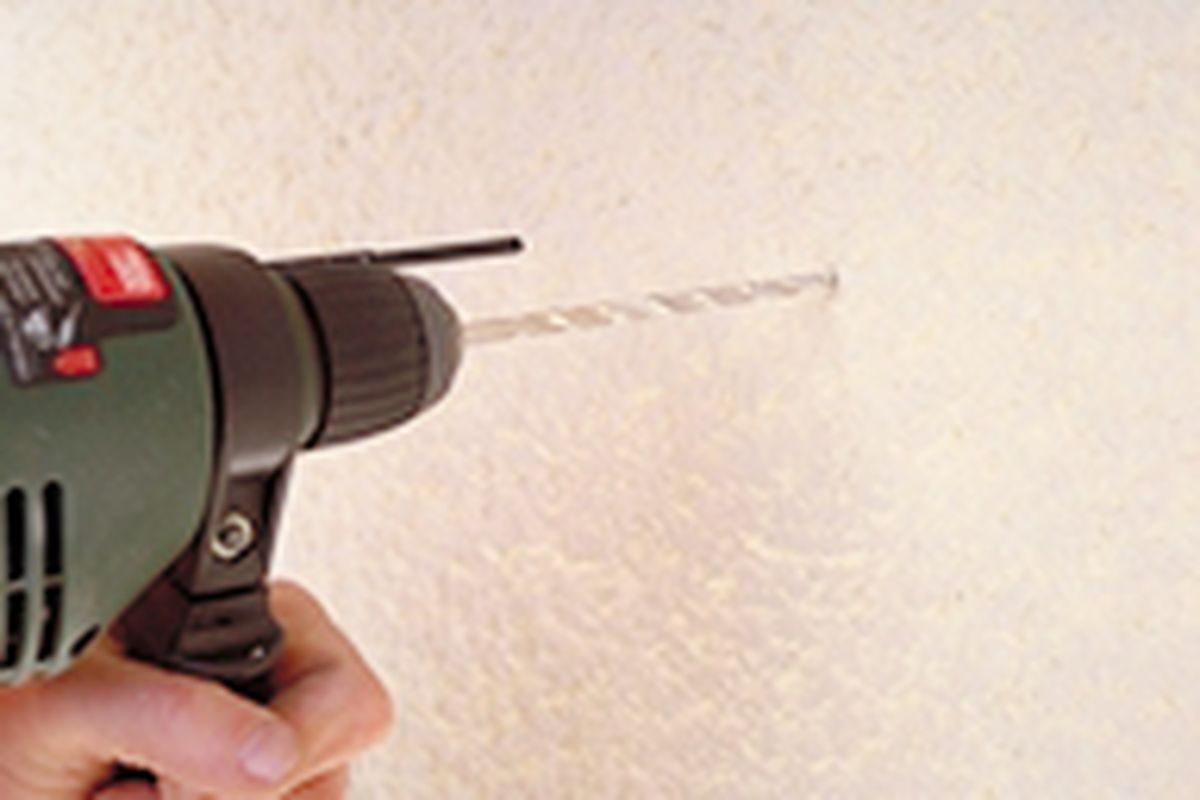 celosia enredaderas p7