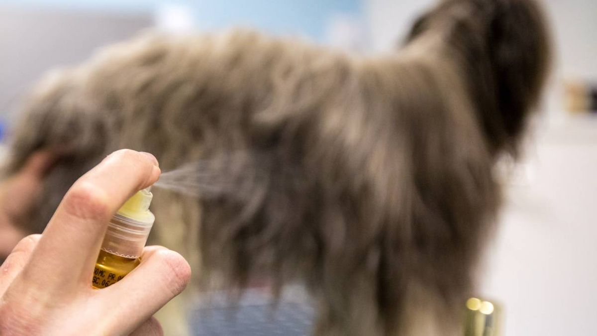 spray antialergias para tu perro xl