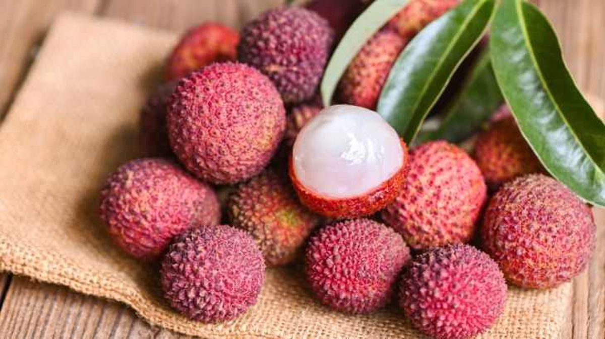 Frutos del árbol de lichi