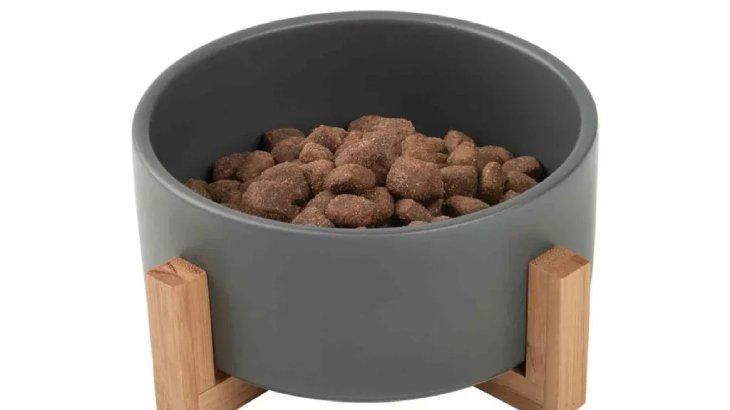 comedero para perros modelo 7