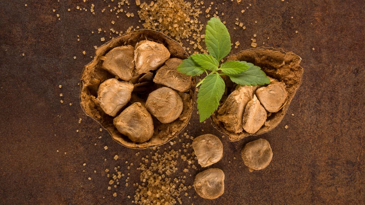 Endulzantes naturales para sustituir el azúcar en bizcochos y otros postres  fruta del monje