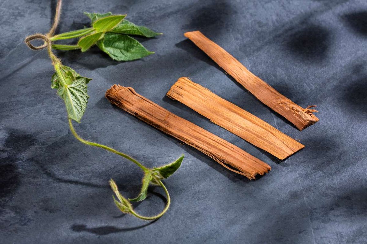 Uncaria tomentosa o planta uña de gato.