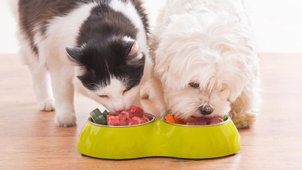 evitar alergias casa4