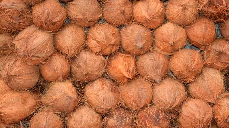 Cocos