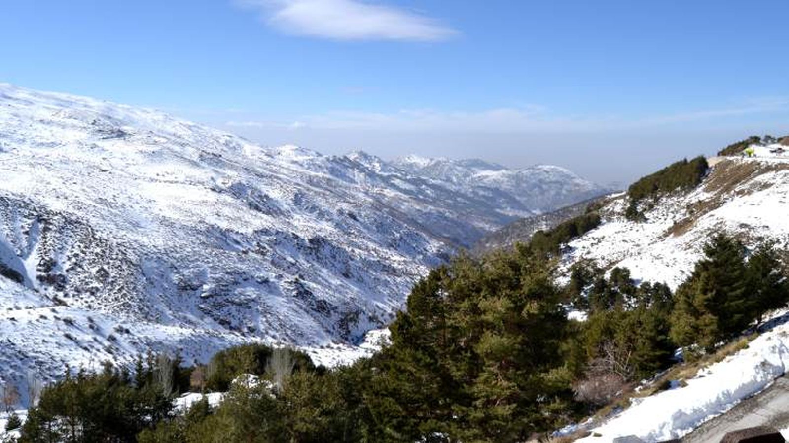 viajar con perro en el puente de diciembre sierra nevada