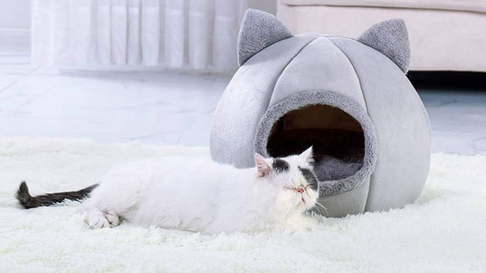 camas invierno gatos frioleros