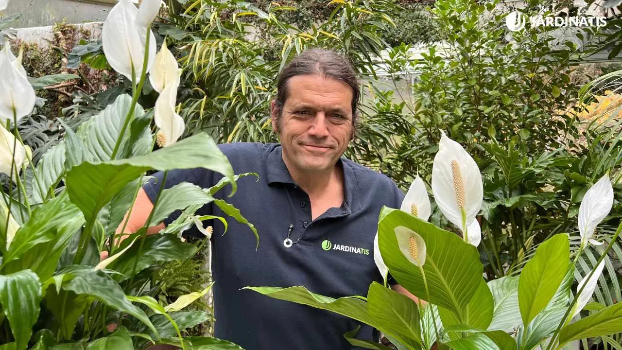 Iñigo Segurola, jardinero y paisajista