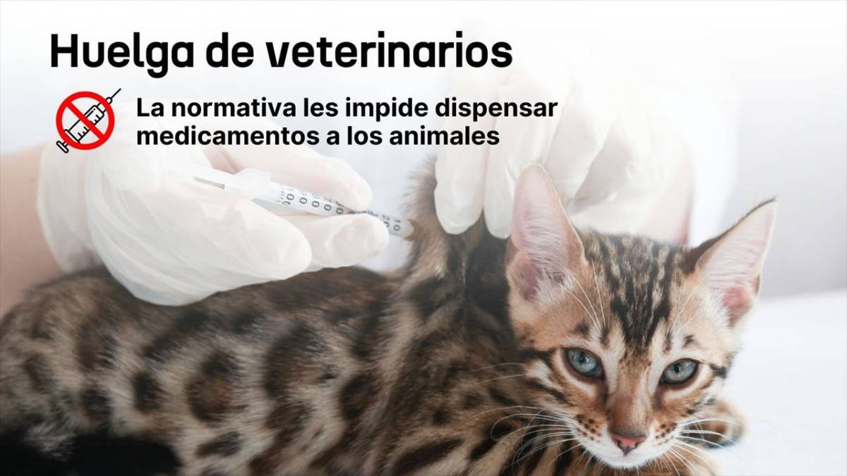 Se han convocado huelgas y manifestaciones en diversas partes de España.