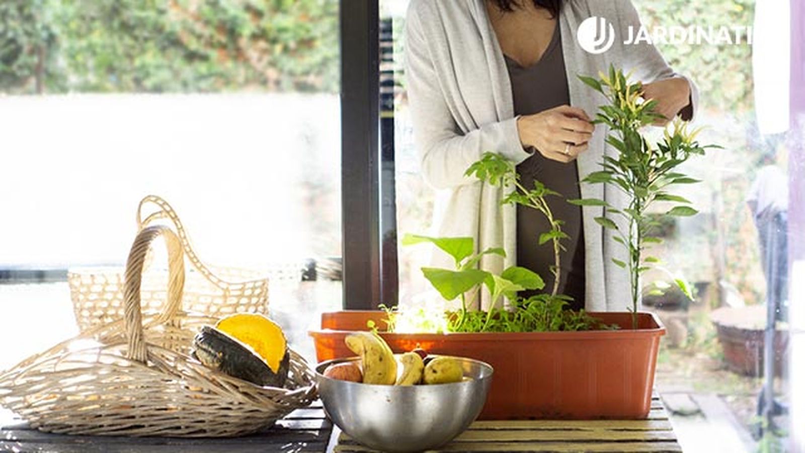 tener plantas en la cocina reduce el estres