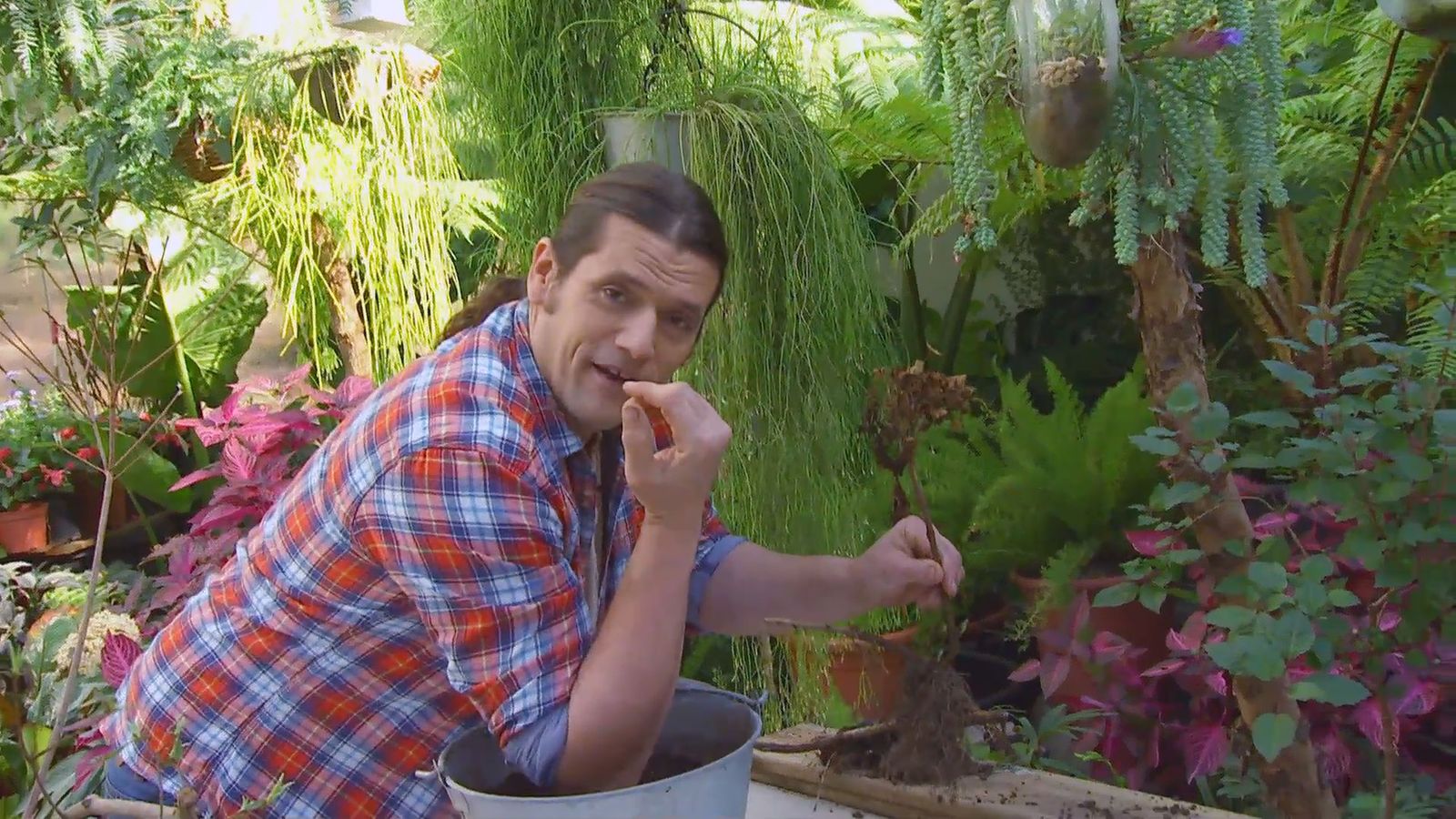 decogarden 0647 acodo tecnica reproduccion ejemplo