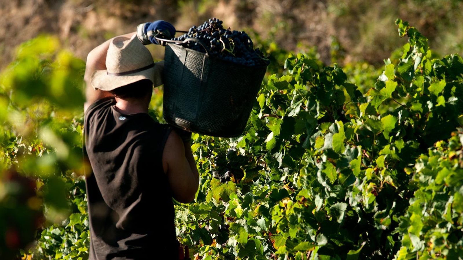 contrato trabajo temporal fijo discontinuo diferencias