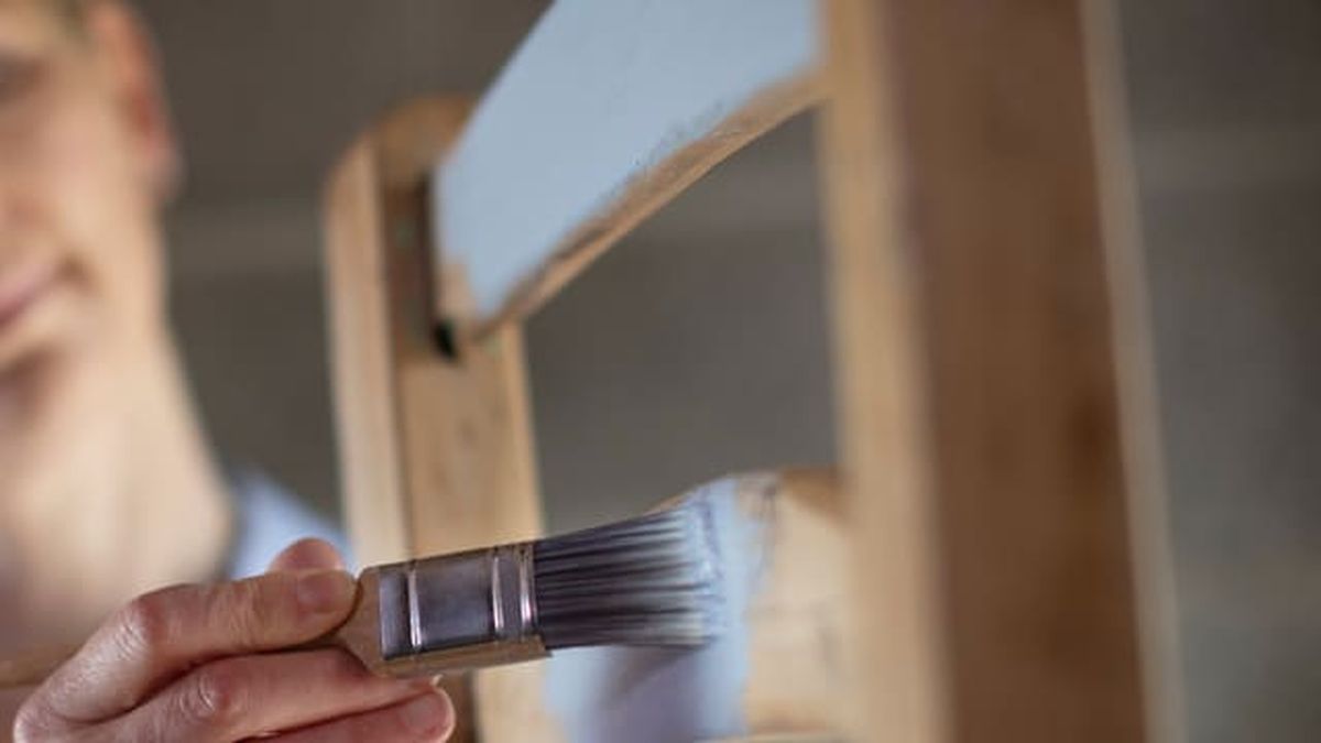 Bricomania 341 Tratamiento carcoma p7