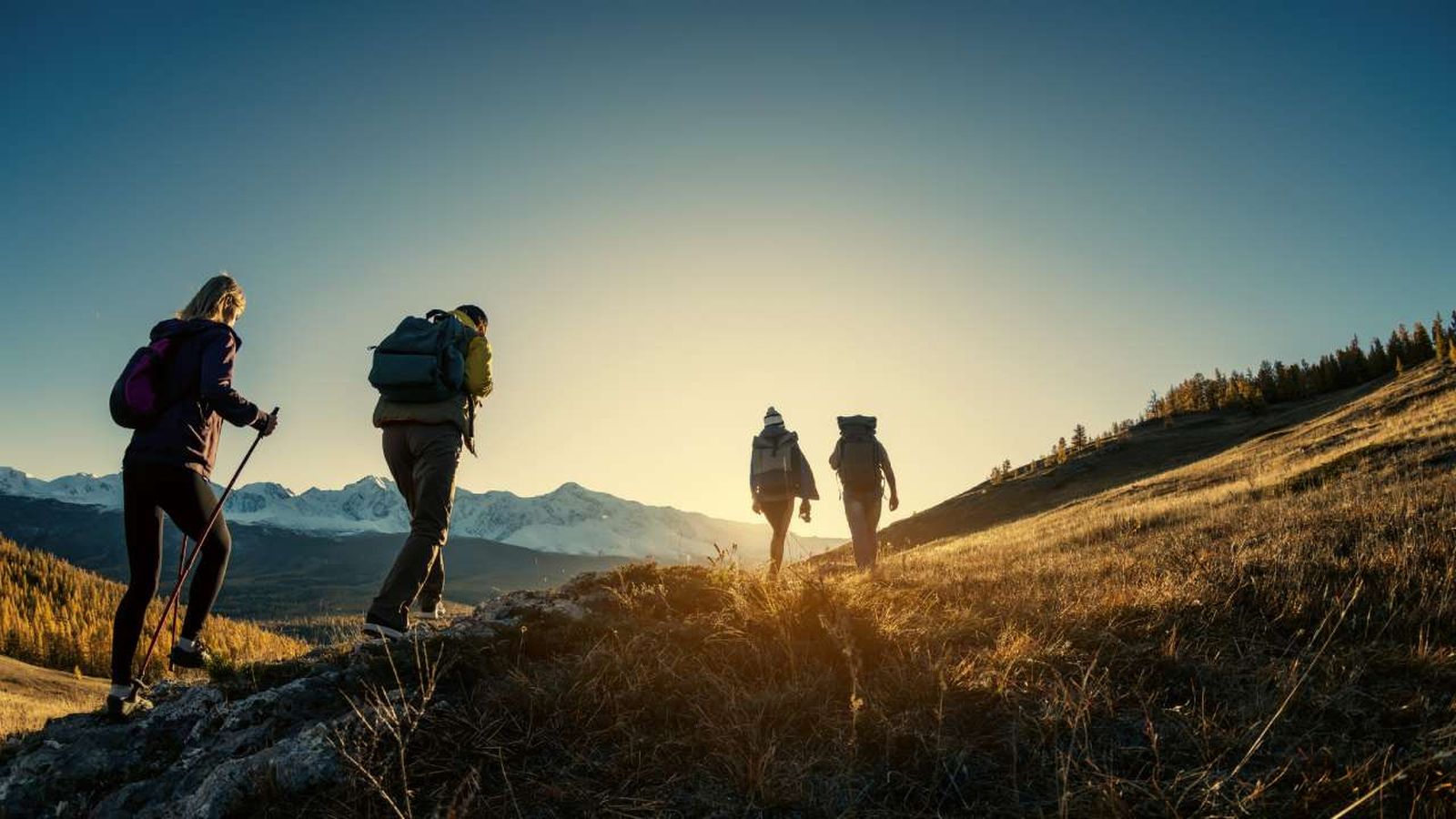 las zapatillas de trekking mas vendidas portada