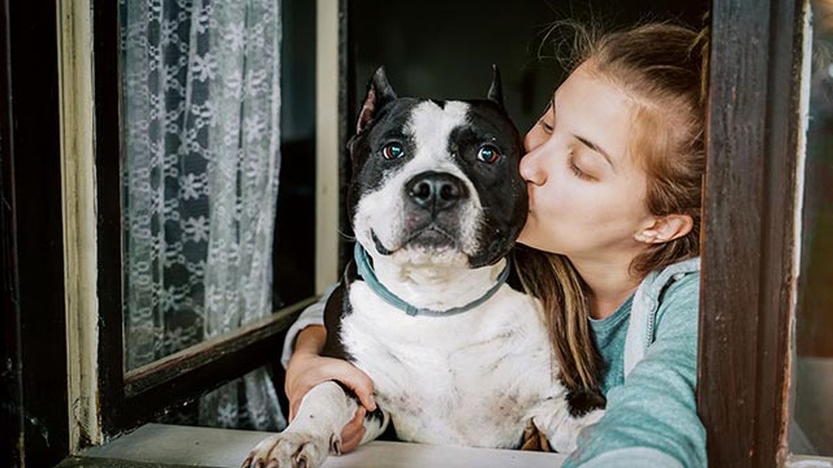 desparasitar mascota mensualmente 10 beso perro