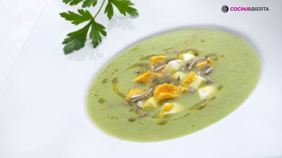 karl7193 sopa fria pepino xl