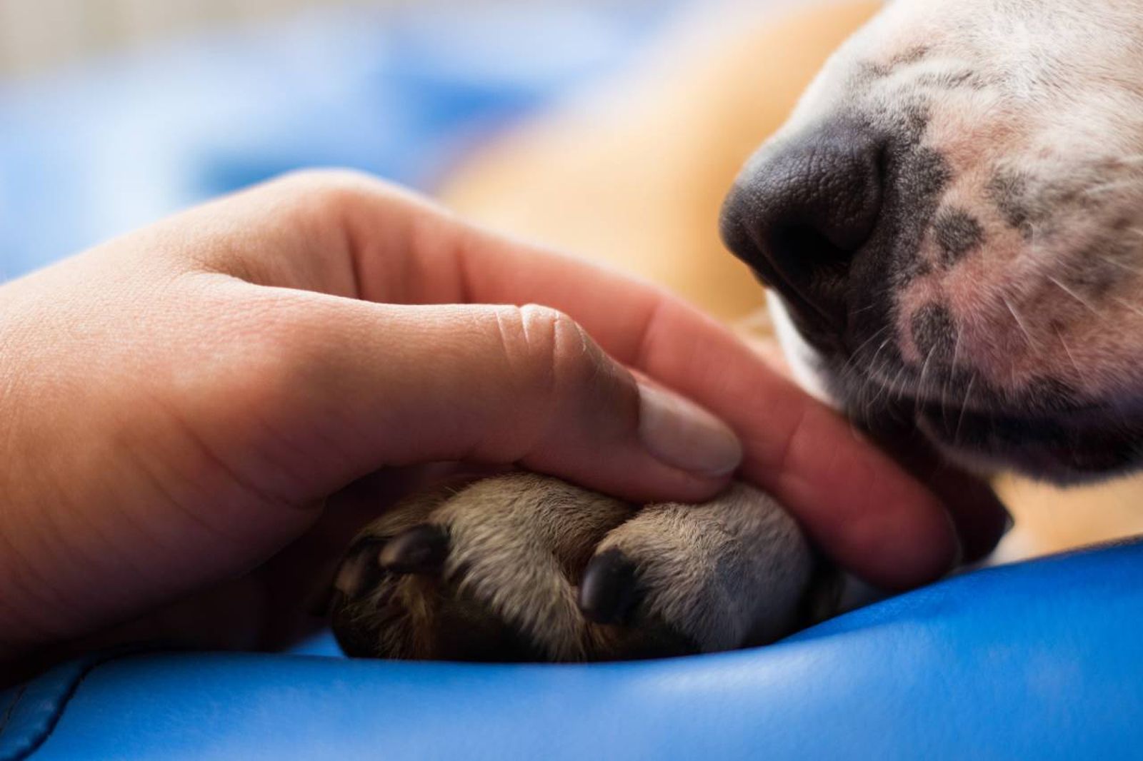Si puedes retirar el objeto utilizando dos dedos de manera segura, hazlo.