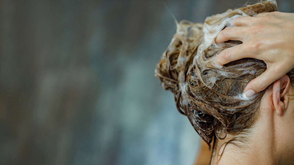 aceite de romero para el pelo cuales son sus beneficios y como se utiliza champu