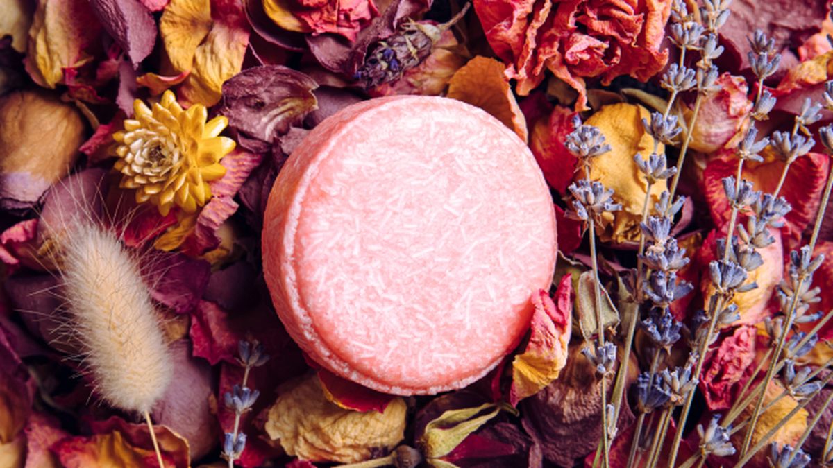 cuales son los mejores champus solidos segun la ocu 1