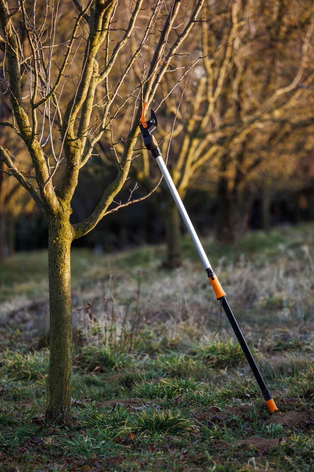 Prepara tus herramientas de forma correcta.
