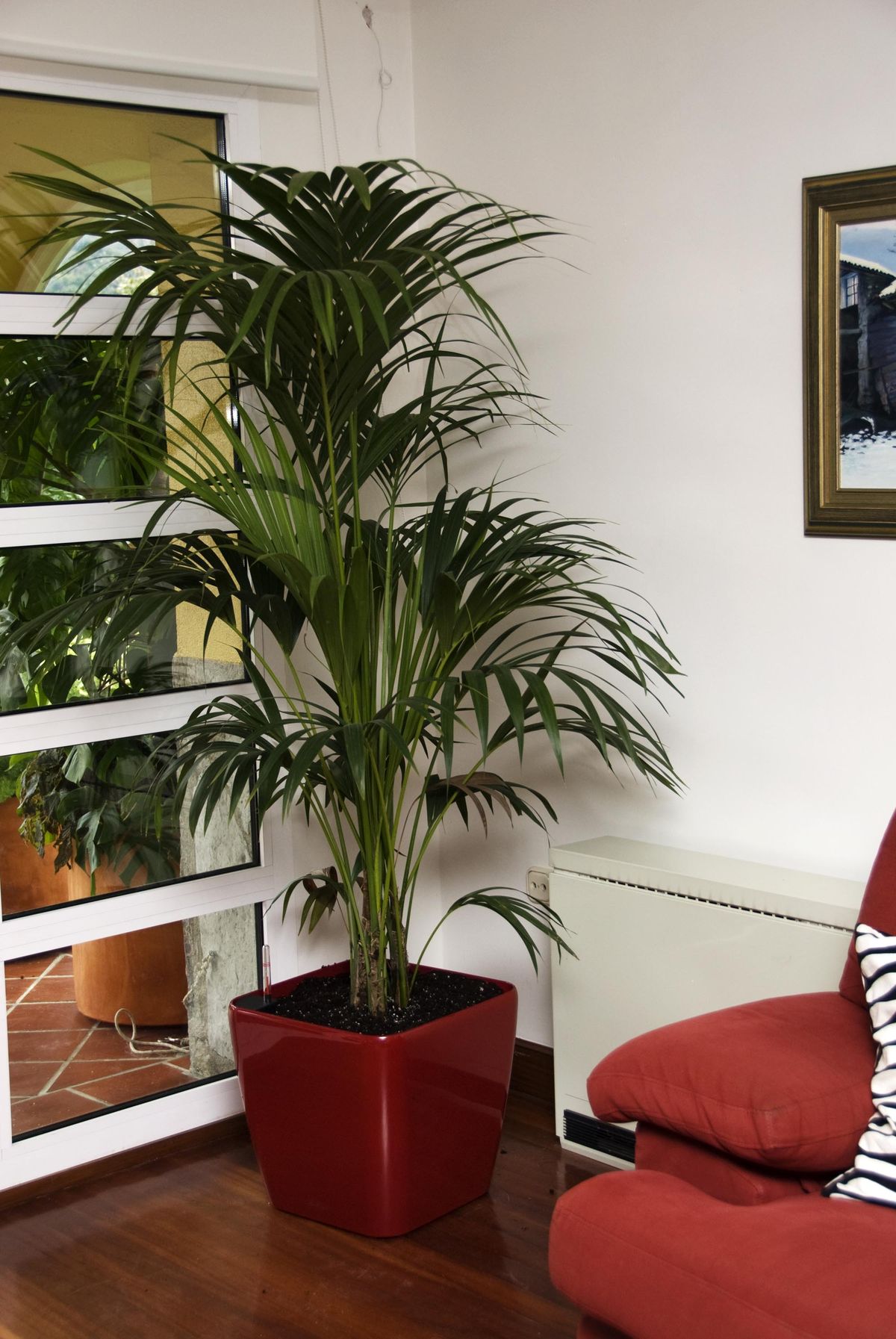 deko 276 decorar salon kentia xl