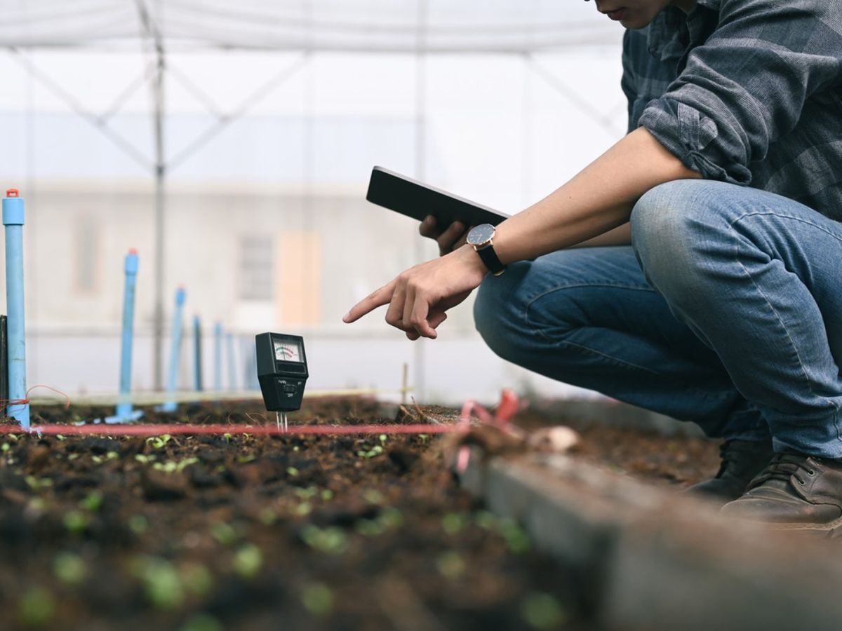 Es posible modificar el pH del suelo tanto para hacerlo más ácido como para elevarlo.