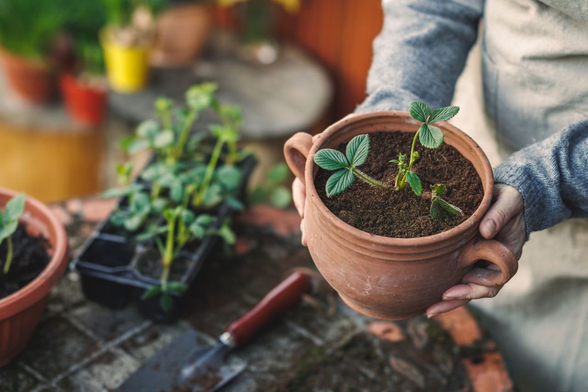Envejecer macetas de barro es una forma genial de reutilizarlas