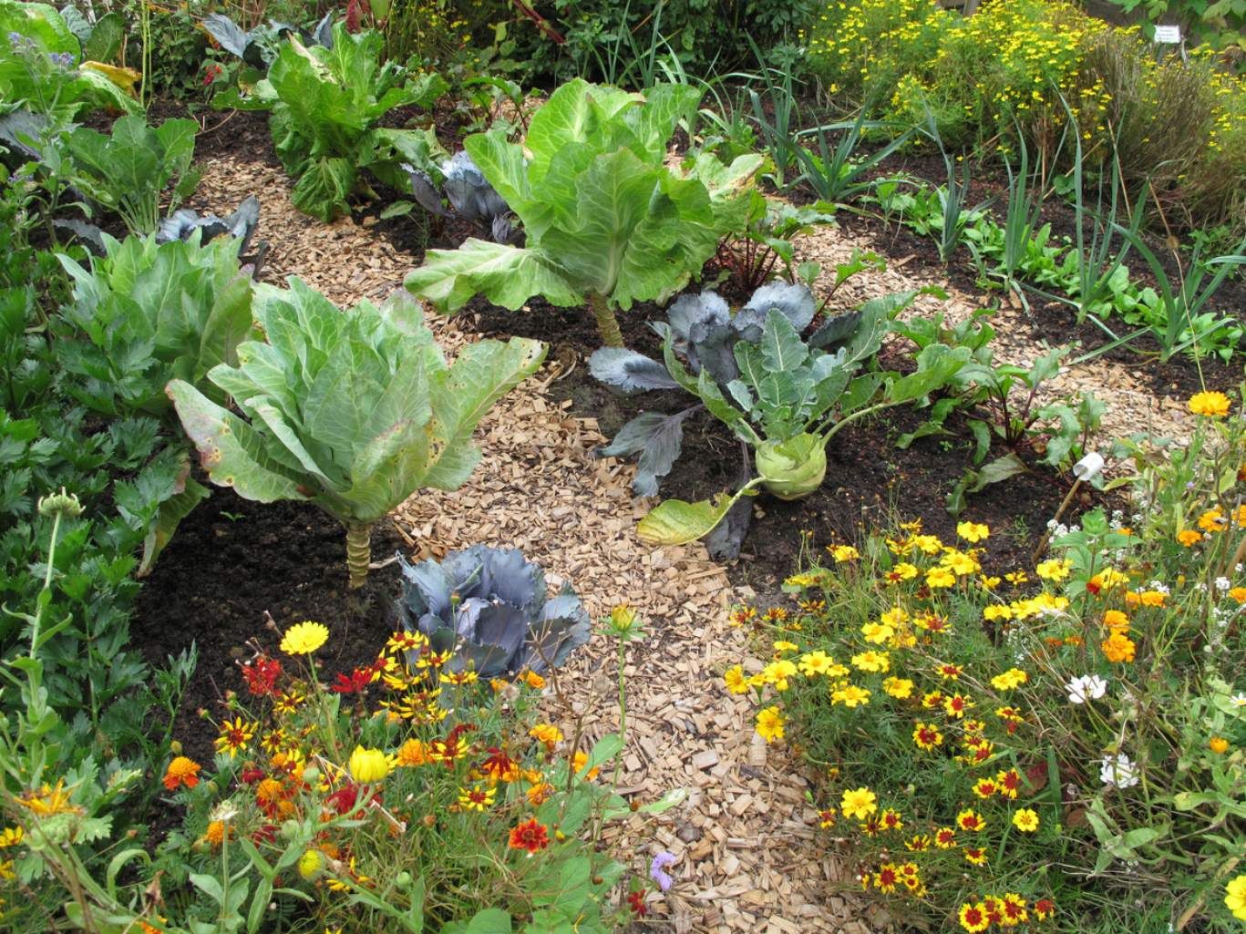 Jardín de vegetales.