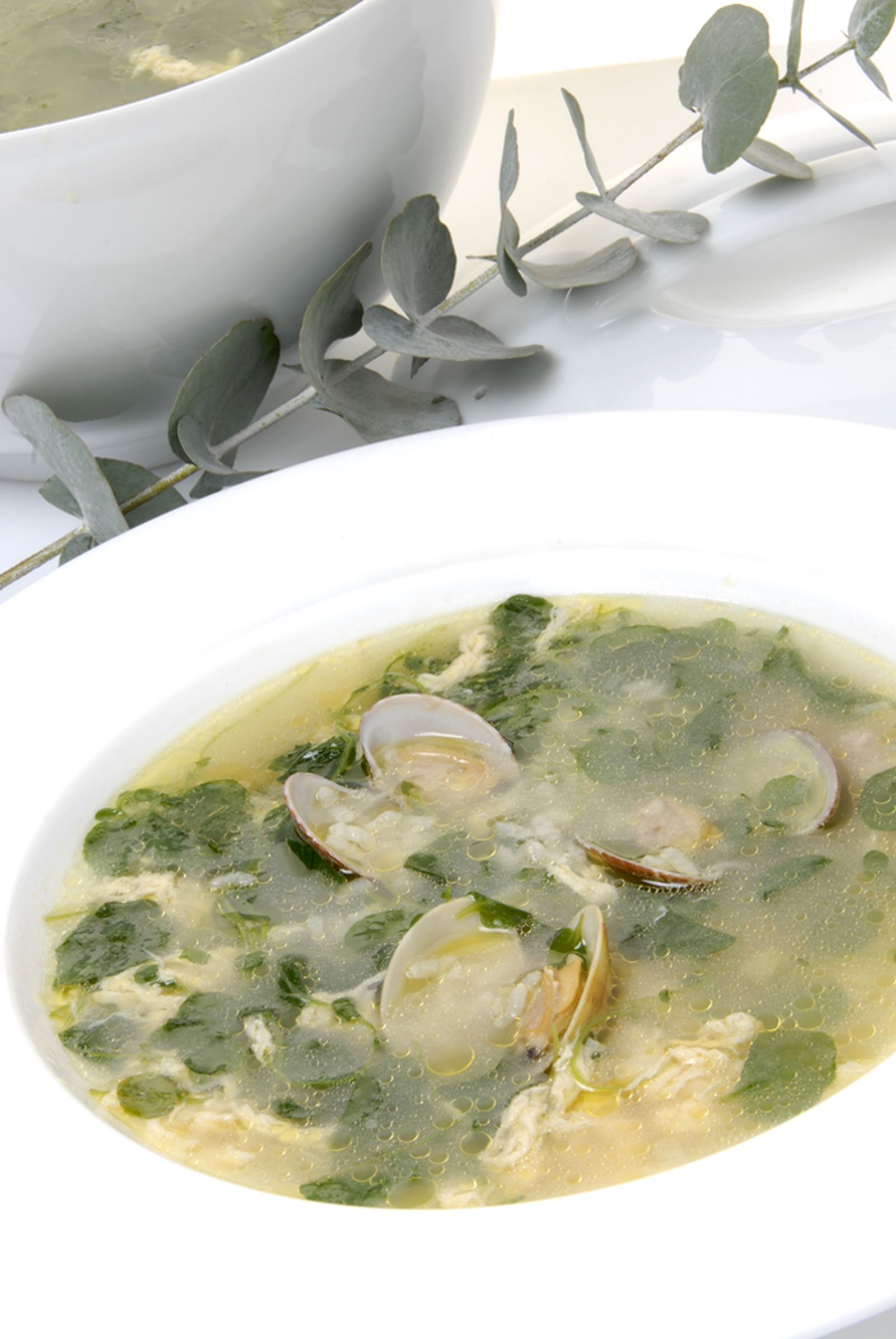 0770 sopa berros almejas xl