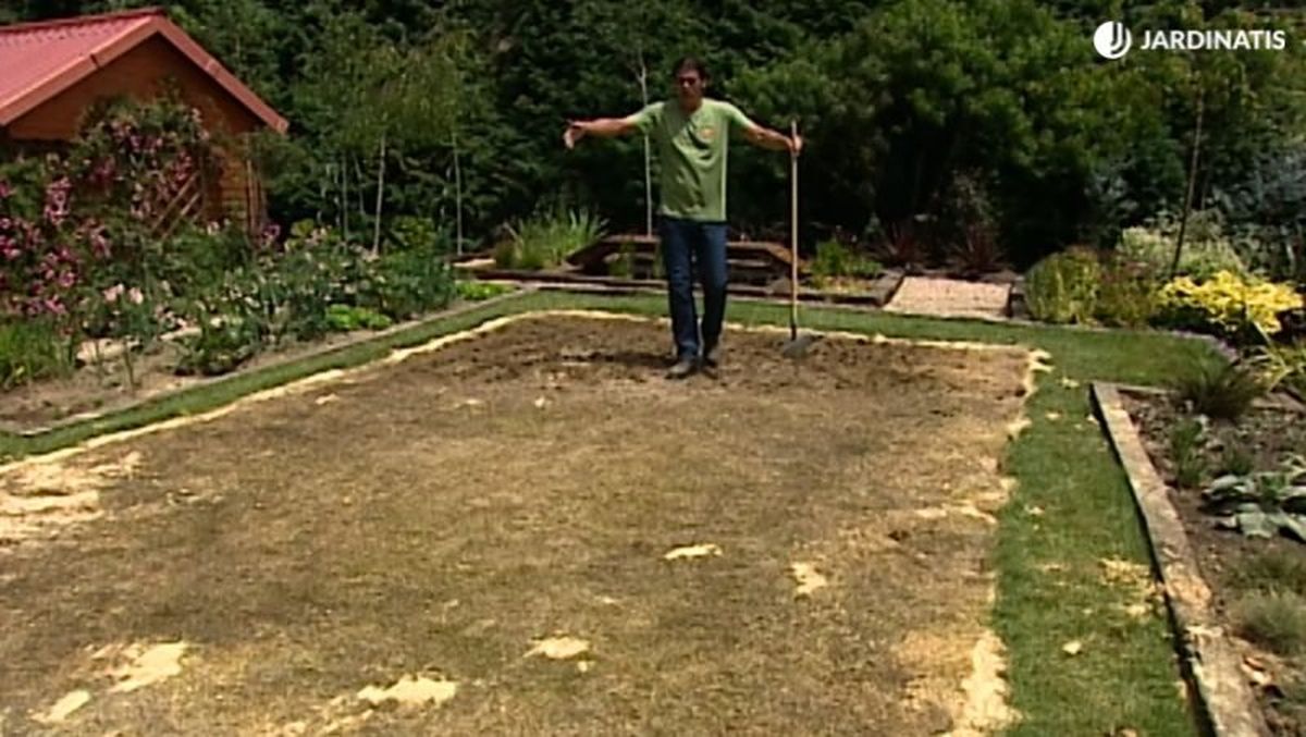 Césped en mal estado después de quitar la piscina