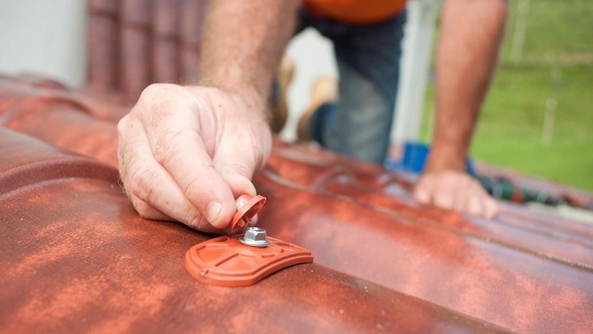 Bricomania 665 Cubierta para pergola p12