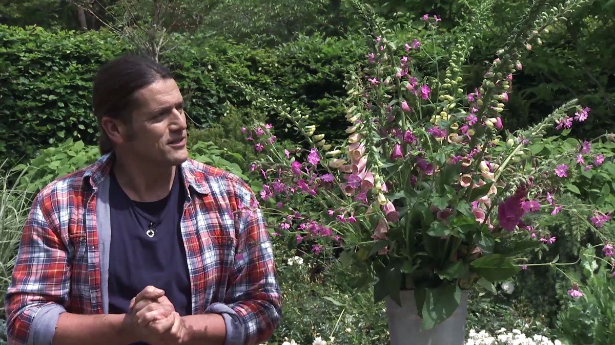 737 decogarden jardineria dedalera composicion