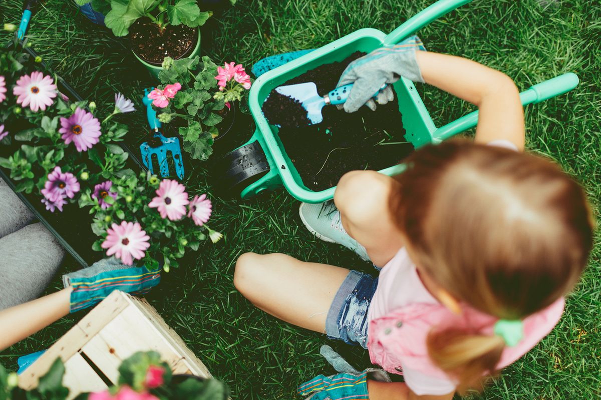 jardin plantas ninos