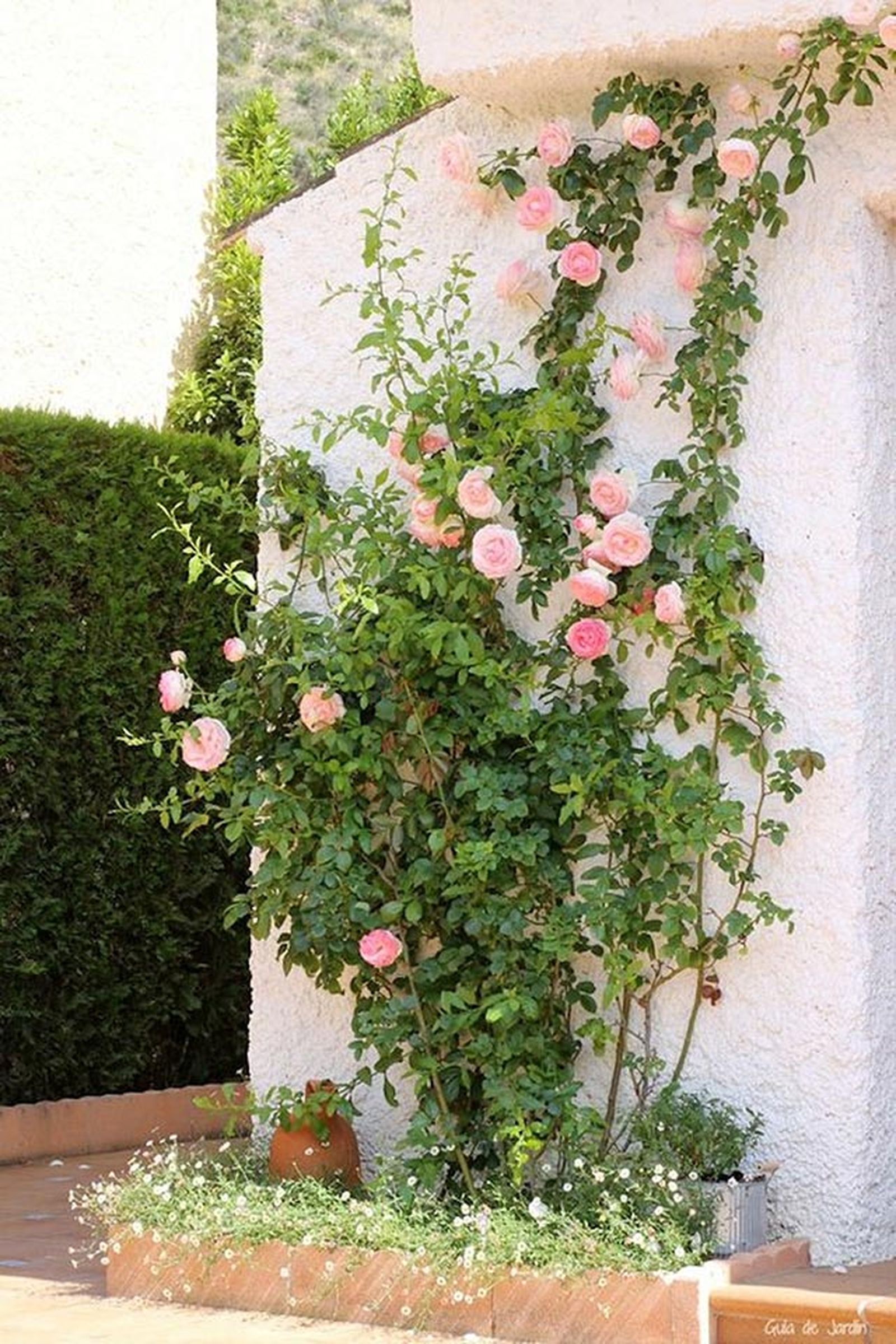 Ideas para decorar patios pequeños y sacarles el máximo partido 11