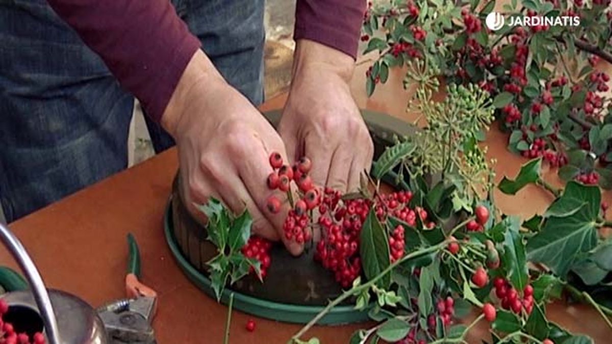 como hacer una corona de adviento brico 725 paso 3