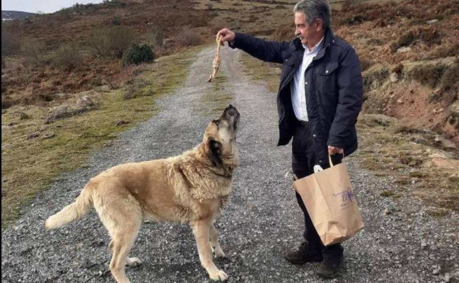 Revilla había entablado una estrecha relación con la perra Luci.