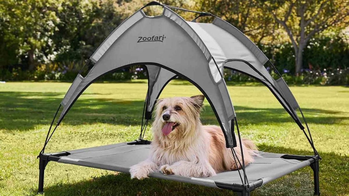 cama para perros elavada con parasol lidl mascotas