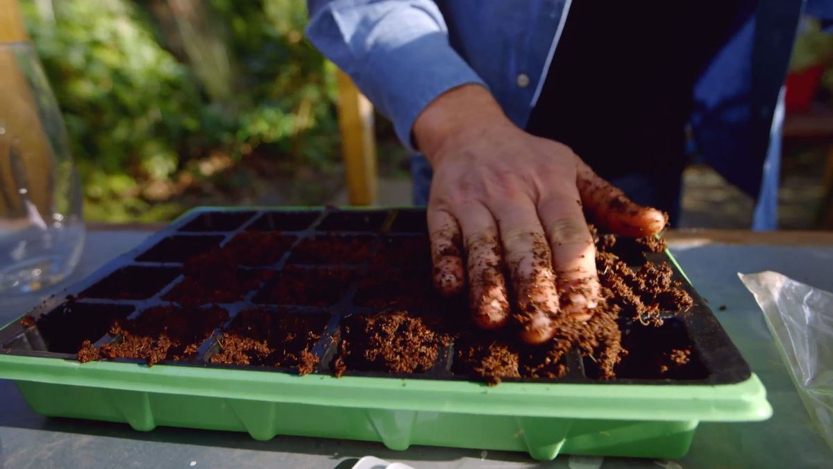 brico 0899 como hacer semillero hortalizas paso 4