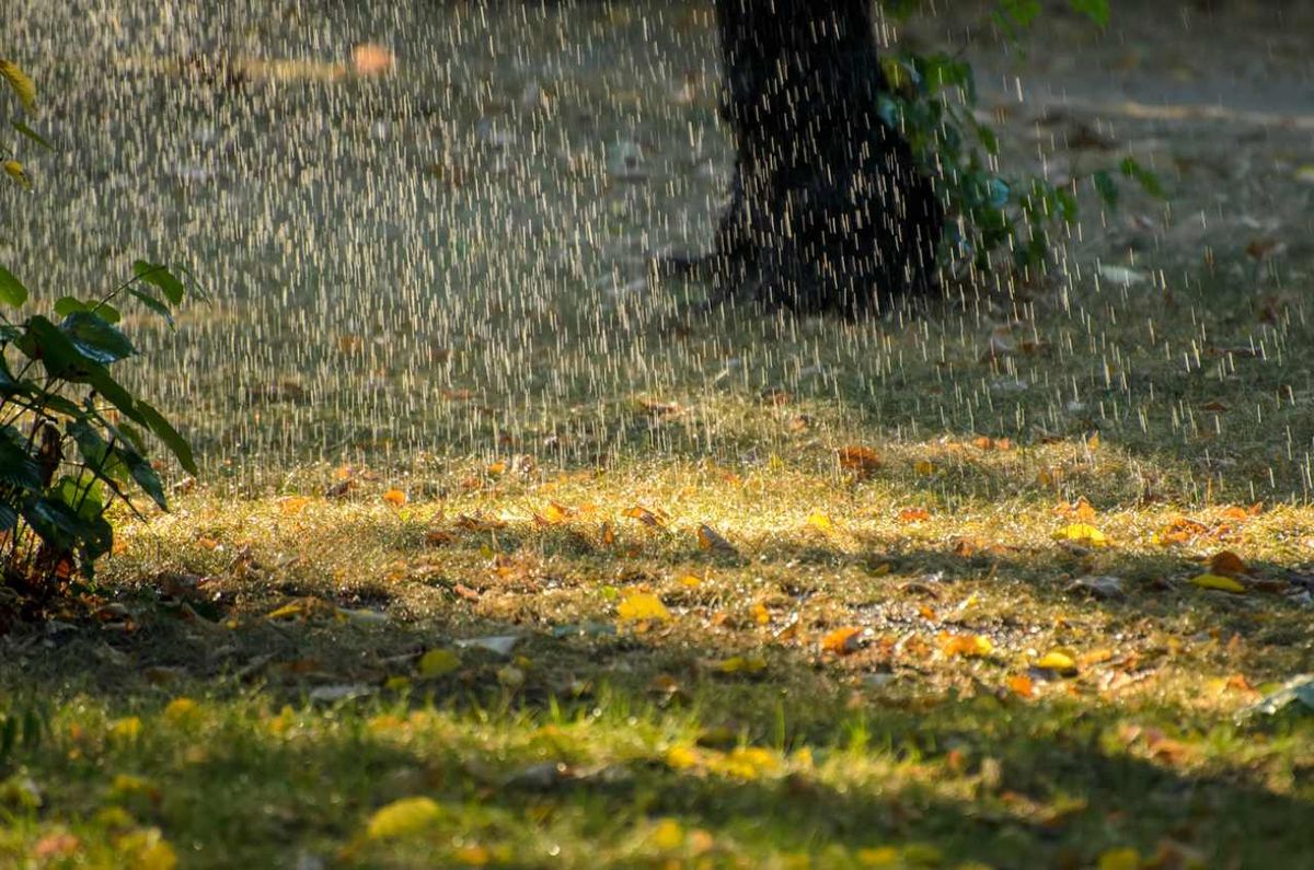 Las fuertes lluvias pueden suponer un reto en el césped