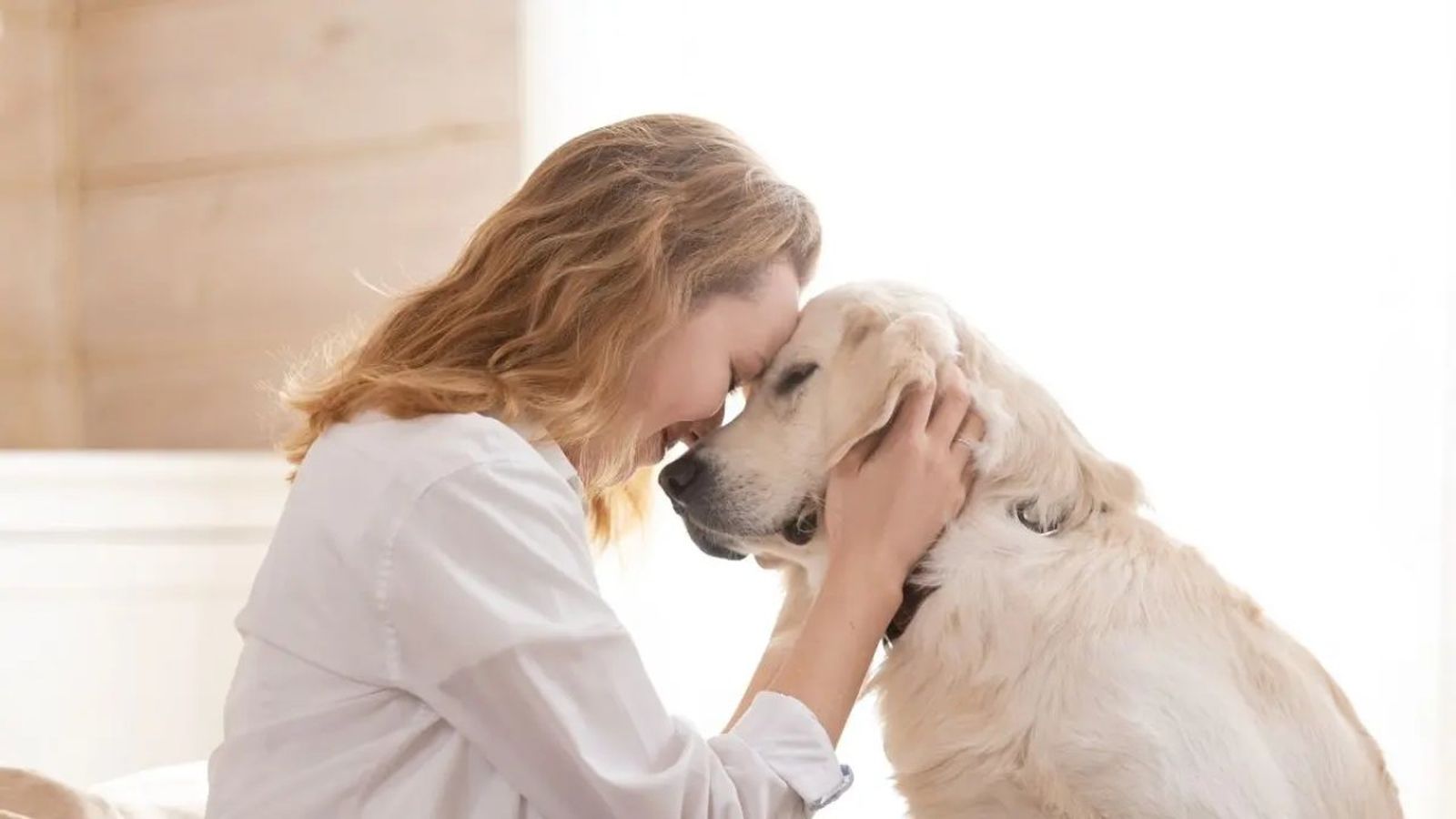 como saber si mi perro me quiere ok