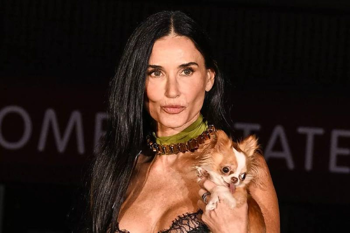 Pilaf cumple un papel clave en la vida de Demi Moore, el de perro de compañía.