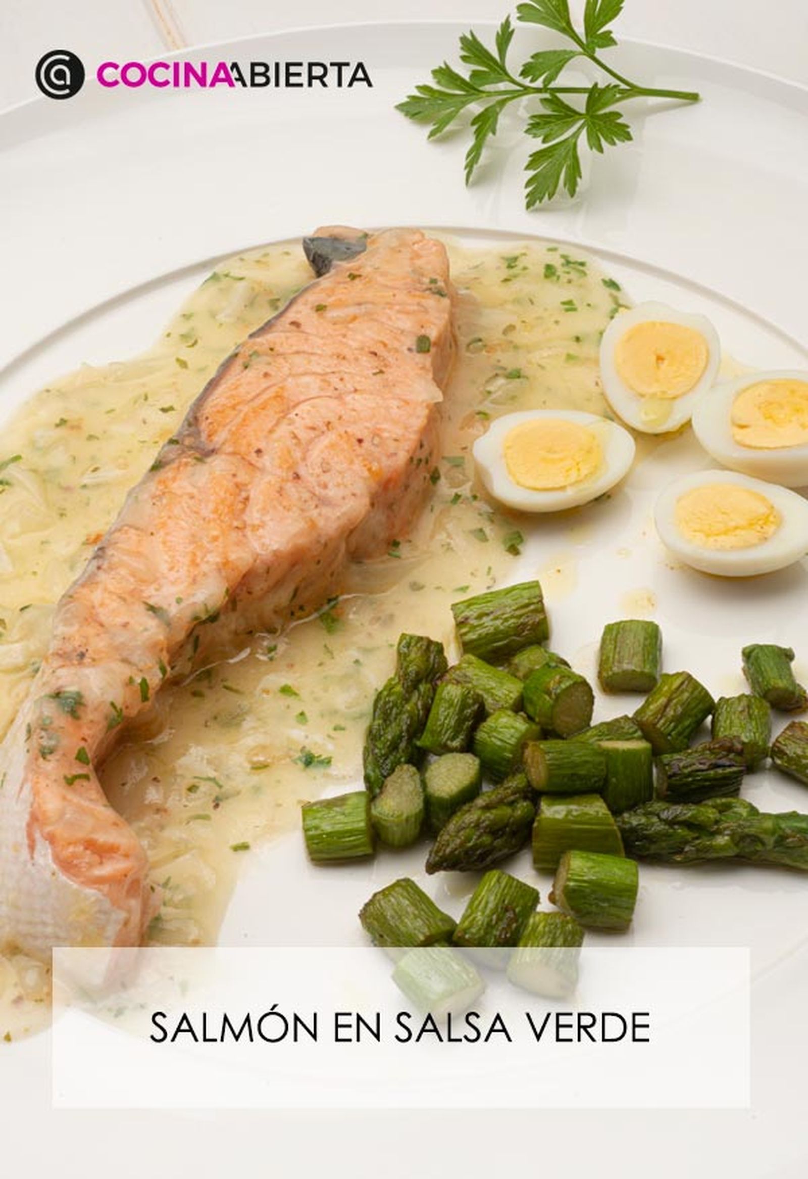 karl6681 salmon salsa v