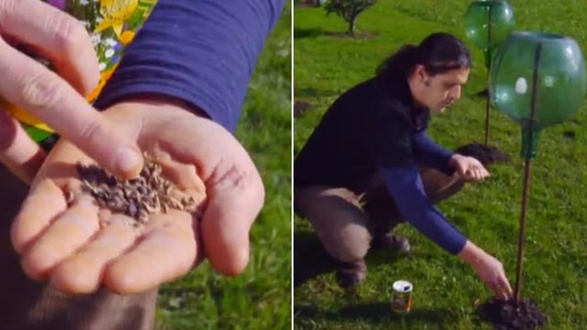 plantacion en las toperas del jardin brico jardin 779