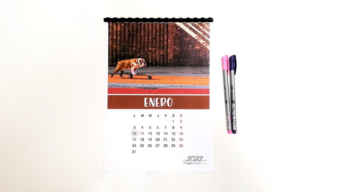 calendario animales 2022