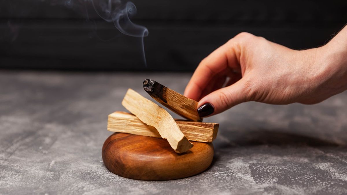 palo santo que es para que sirve
